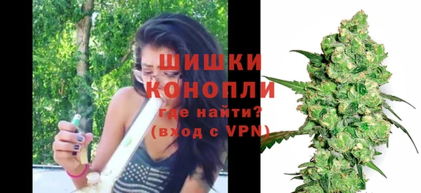 PSILOCYBIN Аркадак