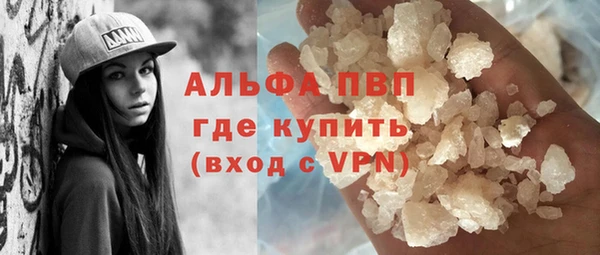 PSILOCYBIN Аркадак