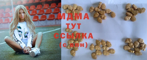 PSILOCYBIN Аркадак