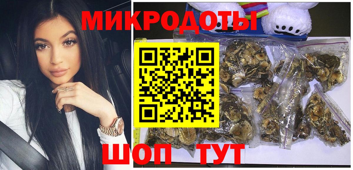 Псилоцибиновые грибы Psilocybe  Вход с VPN  Сибай 